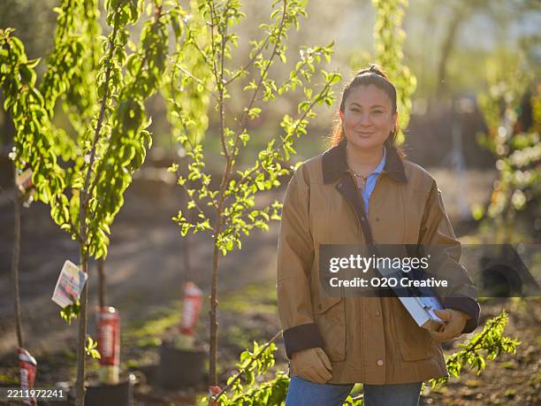 portrait of a woman worker in a small tree farm - sapling stock pictures, royalty-free photos & images