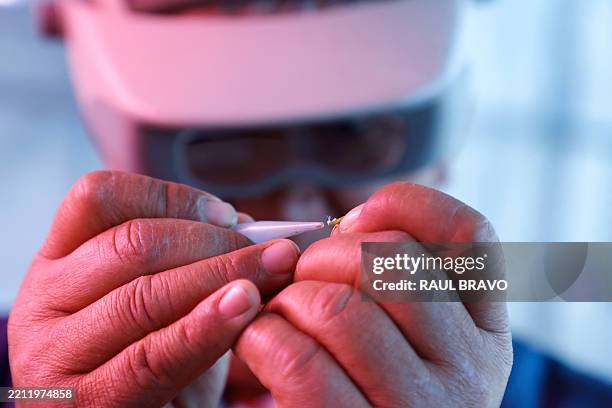 Emusculation 81 Emasculation Stock Photos, High-Res Pictures, and Images - Getty Images