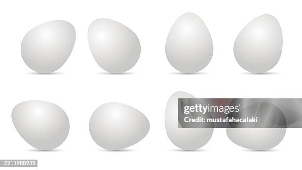 ilustraciones, imágenes clip art, dibujos animados e iconos de stock de huevos simples aislados sobre fondo blanco - sombra paralela