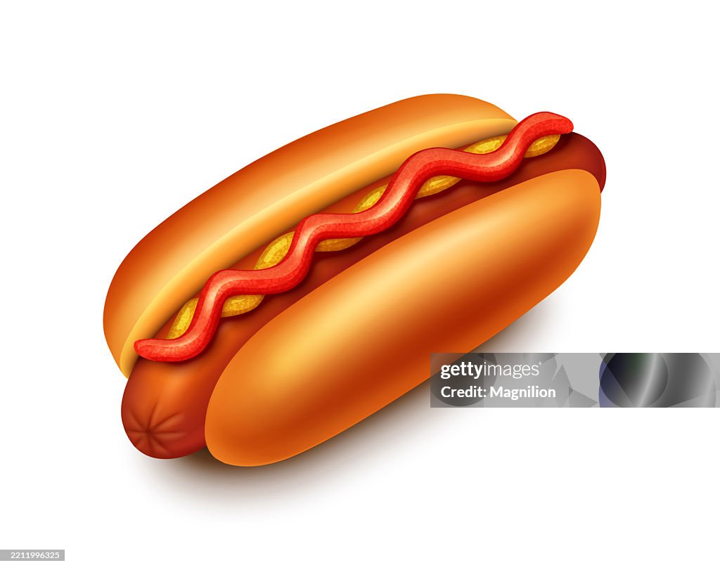 A Realistic Vector Illustration of a Classic Hot Dog in a Toasted Bun, Topped with Yellow Mustard and Red Ketchup, Isolated on a White Background in a Detailed and Appetizing Style