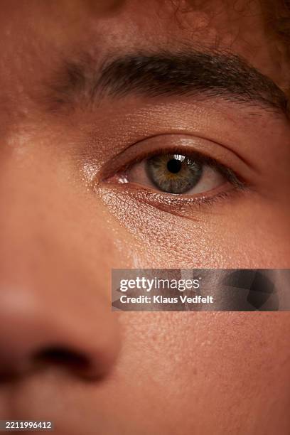 Yei Tao 大眼 Agave horrida 黎明 Hazel eyes Yei Tao 大眼 Agave horrida 黎明 Hazel eyes | Willin