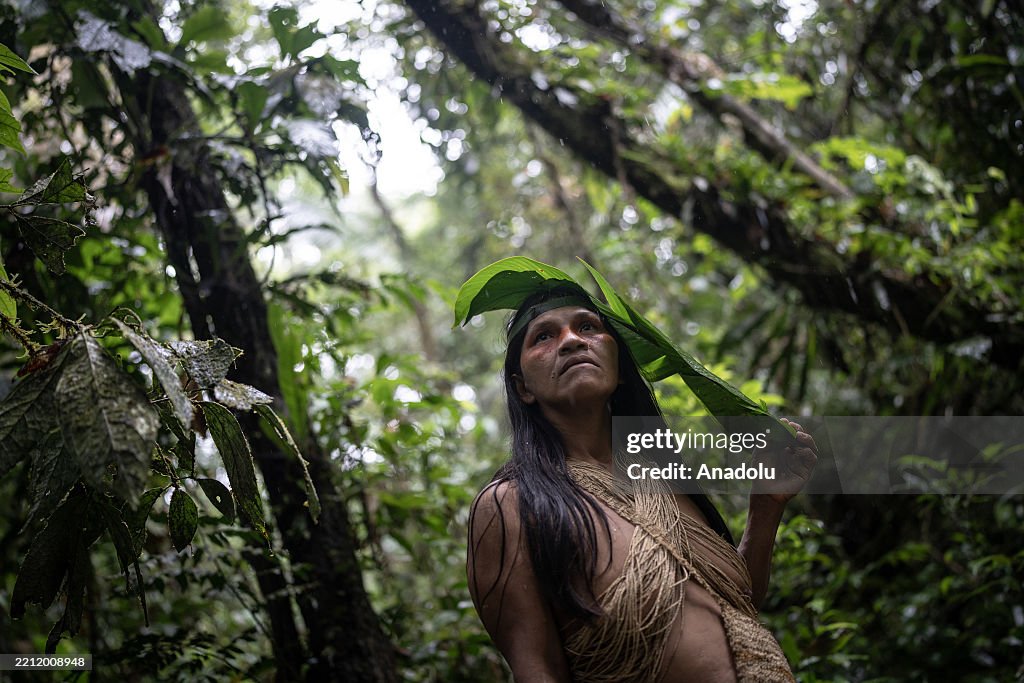 The Waorani People: Guardians of Tradition Amidst Modernity