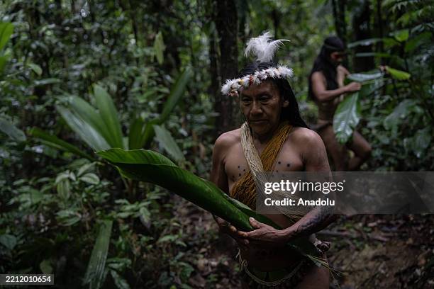 Member of the Waorani community is seen with her baby in her arms, wearing traditional body paint and ornaments made of natural materials, in Amazon...