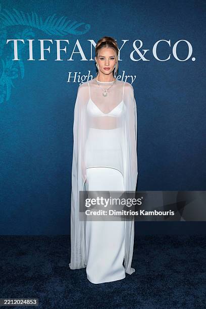 Rosie Huntington-Whitely attends as Tiffany & Co. Celebrates the launch of Blue Book 2025: Sea of Wonder at The Metropolitan Museum of Art on April...