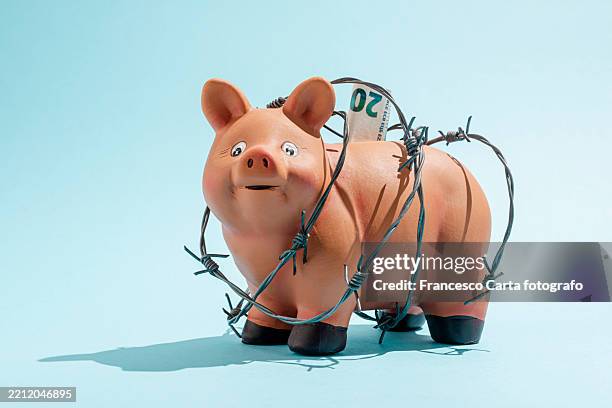 protect your savings - capitalismo imagens e fotografias de stock