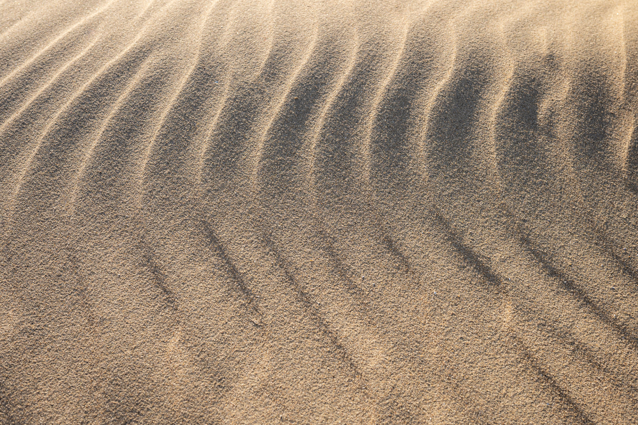 sand landscape