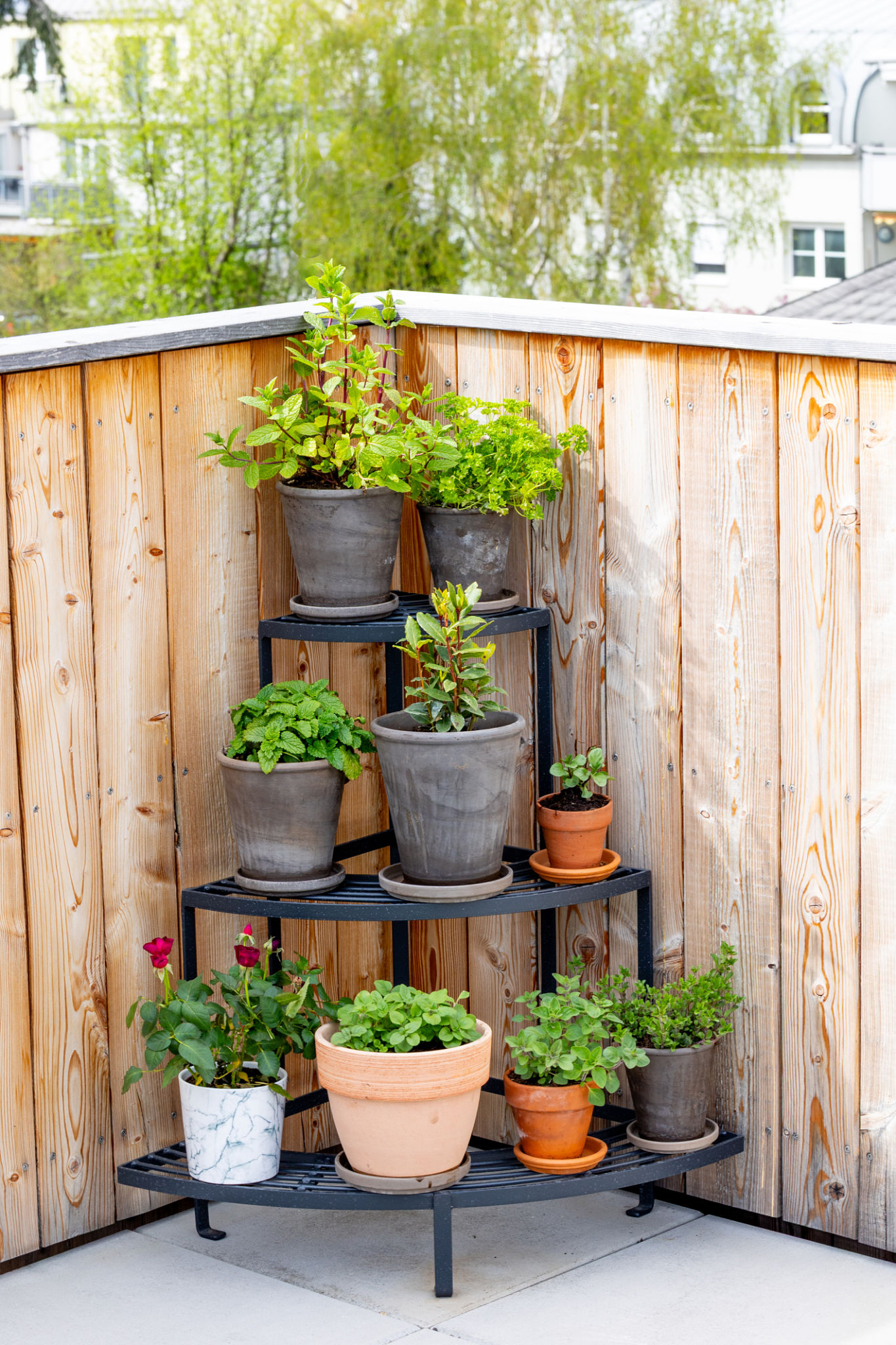 Pots of herbs and flowers on a balcony Pots of herbs and flowers on a balcony