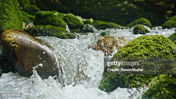 Spring Water Emerging From Rocks 2,880 Water Flows Over A Rock Stock Photos, High-Res Pictures, and ...