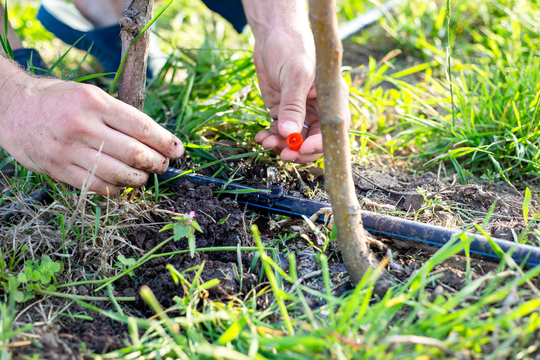 irrigation system installation