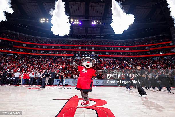 Cluth Houston Rockets 1,182 Houston Rockets Mascot Photos & High Res Pictures - Getty Images