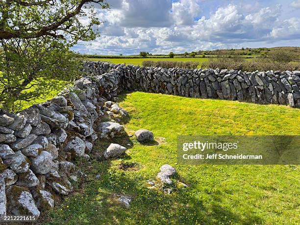 intersecting dry stone walls and fields, ireland - mur de pierres photos et images de collection