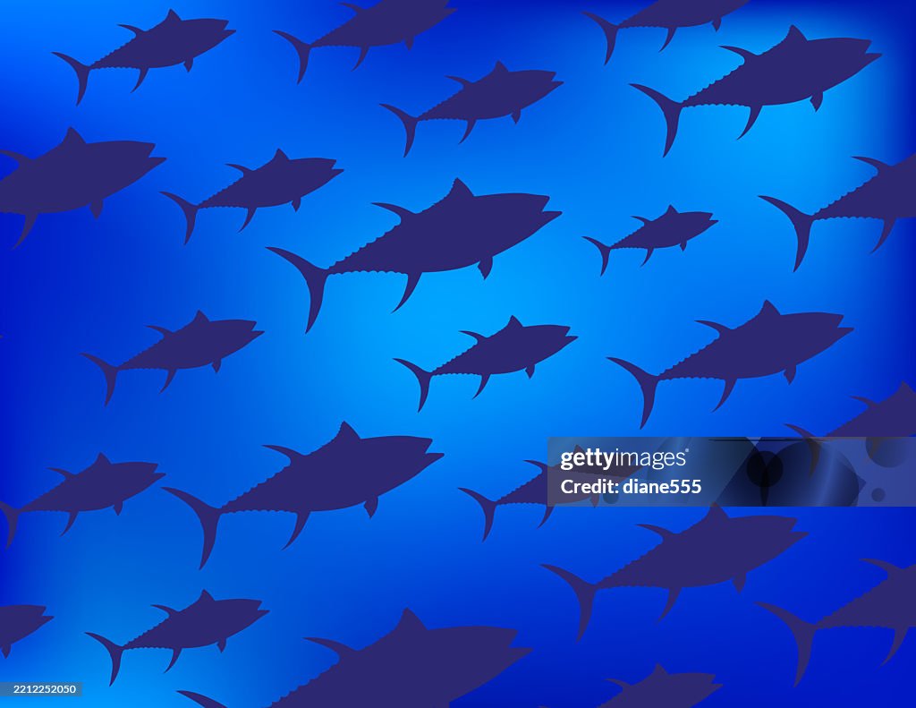 A School Of Tuna Fish Background For World Tuna Day