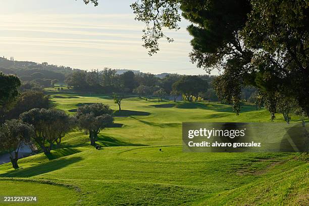 lush green golf course on a sunny morning - golfbana bildbanksfoton och bilder