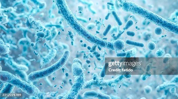 el fondo microscópico de bacterias azules - microorganismo fotografías e imágenes de stock