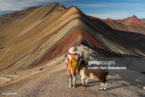 mujer con alpacas en el fondo de la montaña del arco iris en perú - los andes fotografías e imágenes de stock
