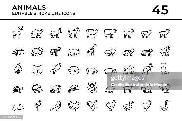 ilustraciones, imágenes clip art, dibujos animados e iconos de stock de animales iconos de línea de trazo editables - dermoquélidos