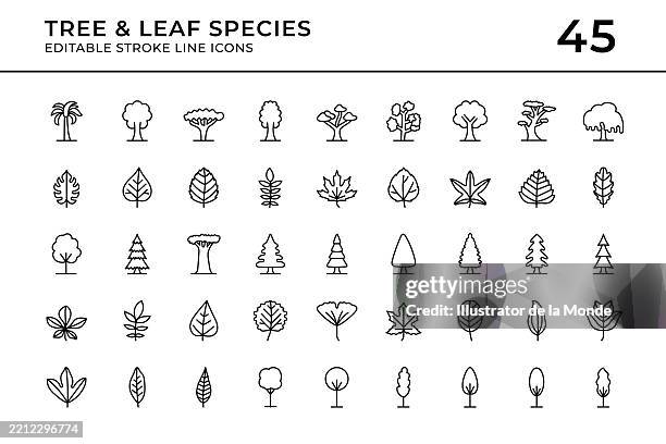 stockillustraties, clipart, cartoons en iconen met tree and leaf species editable stroke line icons - kastanjebloesem