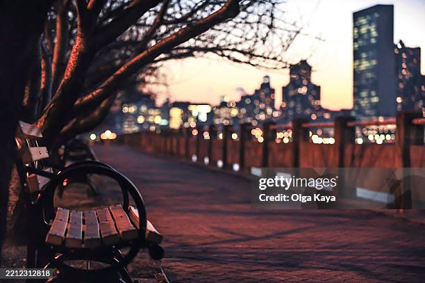 nueva york, manhattan, la isla roosevelt. - isla roosevelt fotografías e imágenes de stock