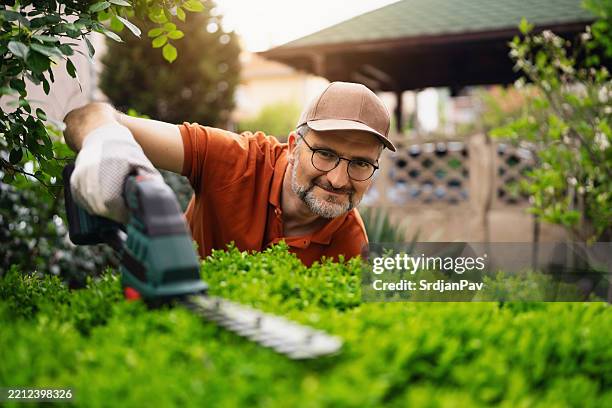man trimming boxwood hedge with electric shears in a sunny garden - buxus stockfoto's en -beelden