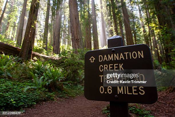 Redwood Sign 584 Redwood Sign Stock Photos, High-Res Pictures, and Images - Getty Images
