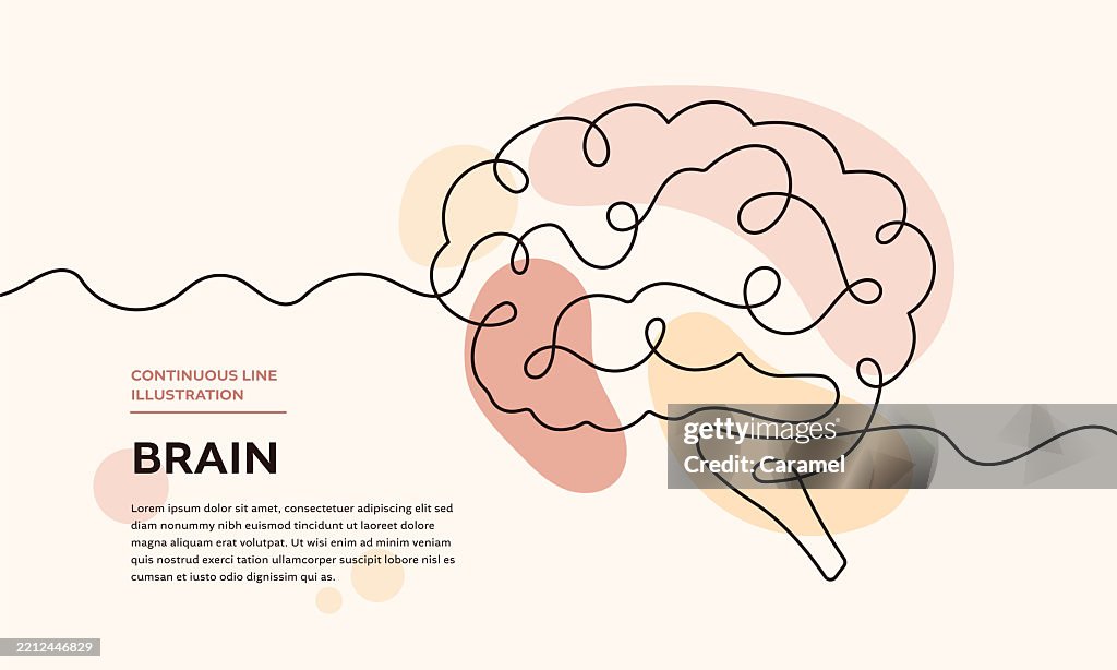 Thought Line Thinking Lines Continuous Line Brain Illustration High-Res Vector ...