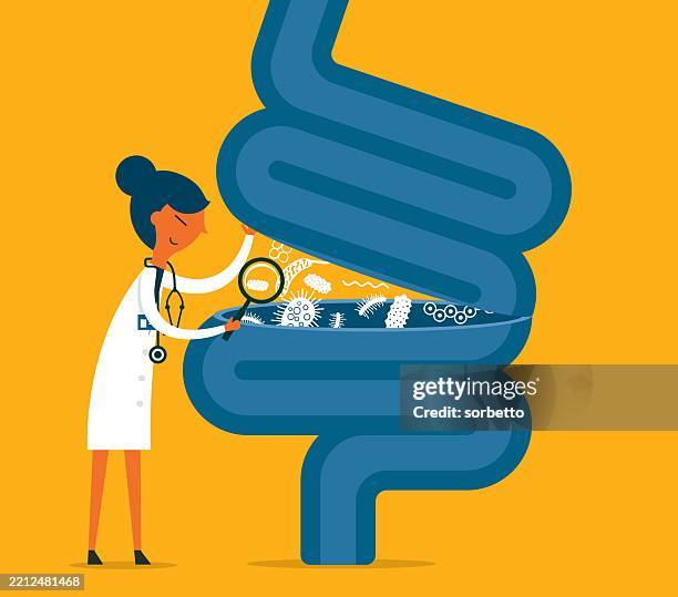 verdauungssystem - lupe - menschlicher darm stock-grafiken, -clipart, -cartoons und -symbole