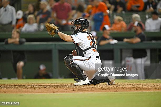 Ed Handley 51 Ed Handley Stock Photos, High-Res Pictures, and Images - Getty Images