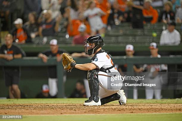 Ed Handley 51 Ed Handley Stock Photos, High-Res Pictures, and Images - Getty Images
