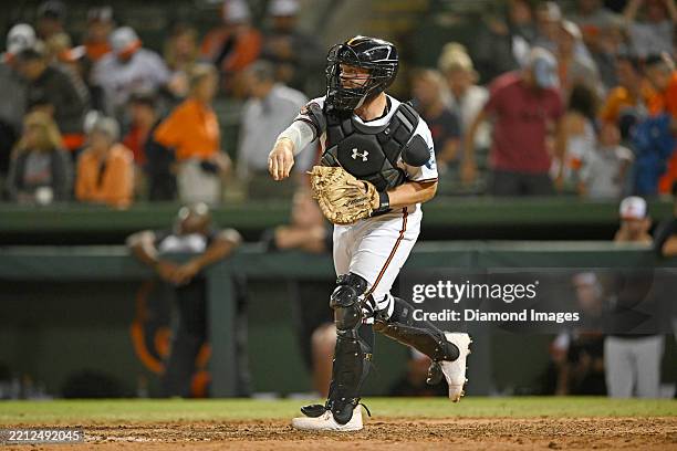 Ed Handley 51 Ed Handley Stock Photos, High-Res Pictures, and Images - Getty Images
