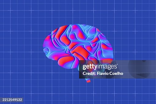 Neural brain mapping study Neural brain mapping study