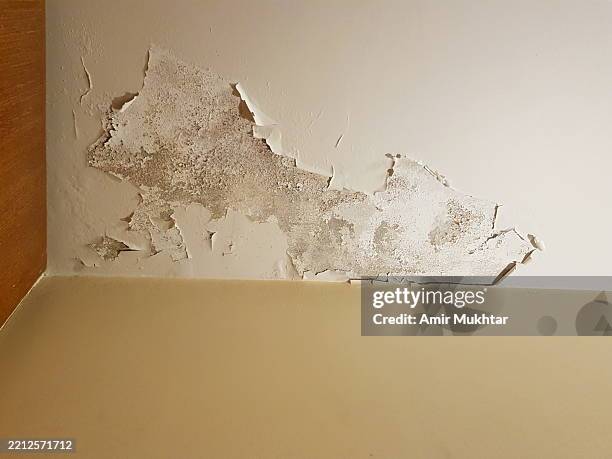 ceiling paint peeling off due to water leakage in the domestic room. - soffitto foto e immagini stock