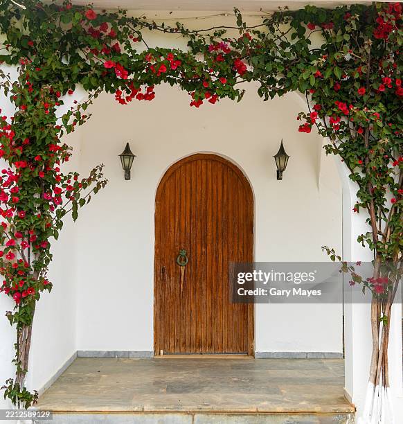 mediterranean door entrance wooden white walls red pink flowers - buganville foto e immagini stock