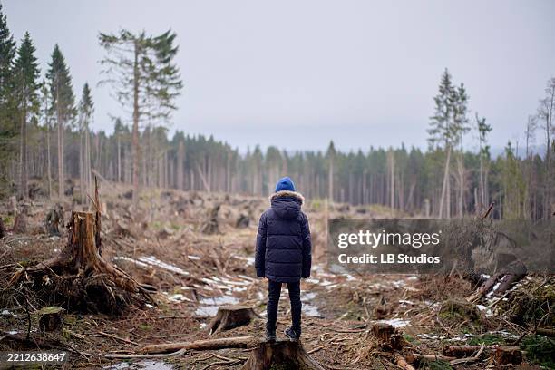young boy in a blue coat stands in a deforested area surrounded by tree stumps and snow - ontbossing stockfoto's en -beelden