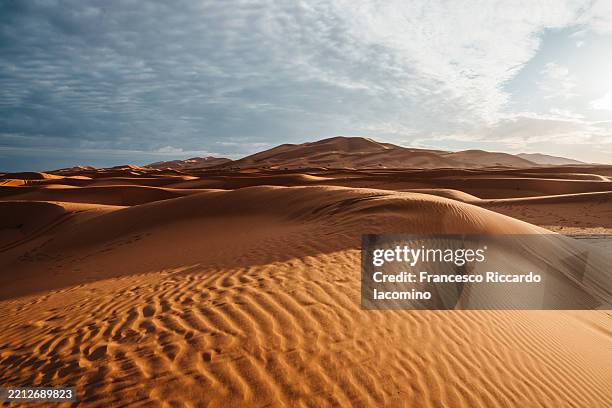 sand dunes ripple across the sahara desert under a cloudy sky. - désert photos et images de collection