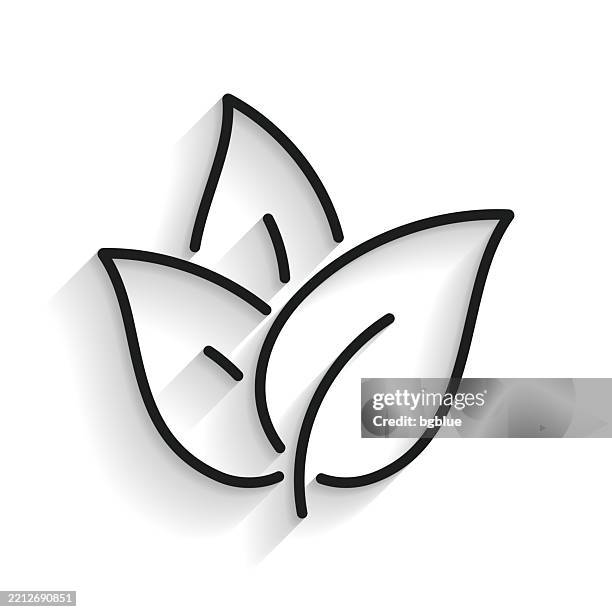 tea leaves. line icon with long shadow on white background - tea leaf white background stock illustrations