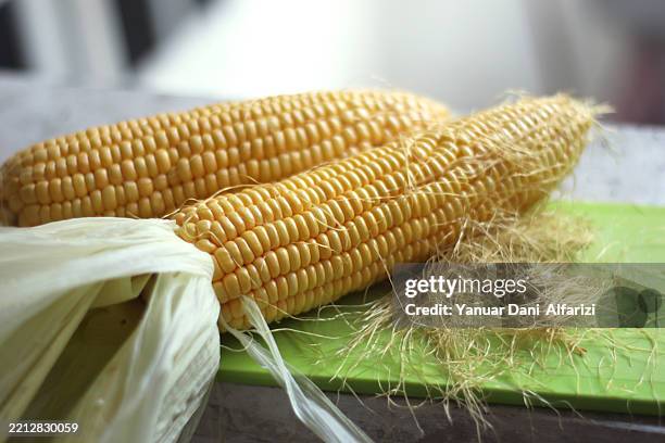 sweet corns. - corn leaf blight stock pictures, royalty-free photos & images