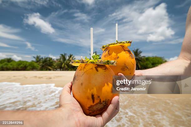 hands of friends holding alcohol cocktail inside coconut on idyllic sand beach - coconut water stock pictures, royalty-free photos & images
