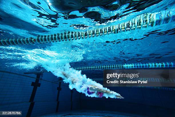 underwater view on female athlete entering water in pink and violet swimsuit against dark background - deporte acuático fotografías e imágenes de stock