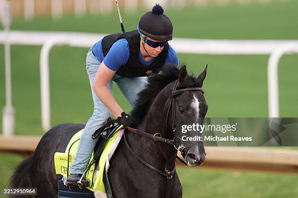 Chunk of Gold trains on the track during morning workouts prior to the running of the 151st Kentucky Derby at Churchill Downs on May 01, 2025 in...