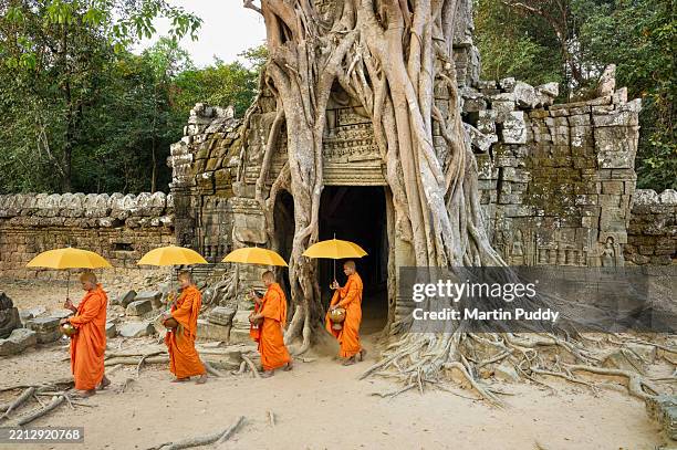 buddhist monks walking through ancient temple ruins with tree roots at angkor wat temple complex - cambodian people stock pictures, royalty-free photos & images