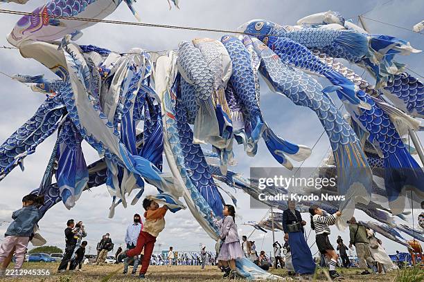 Carp streamers fly above a field in Higashimatsushima, a Miyagi Prefecture city devastated by the March 2011 earthquake and tsunami, on May 5 in a...