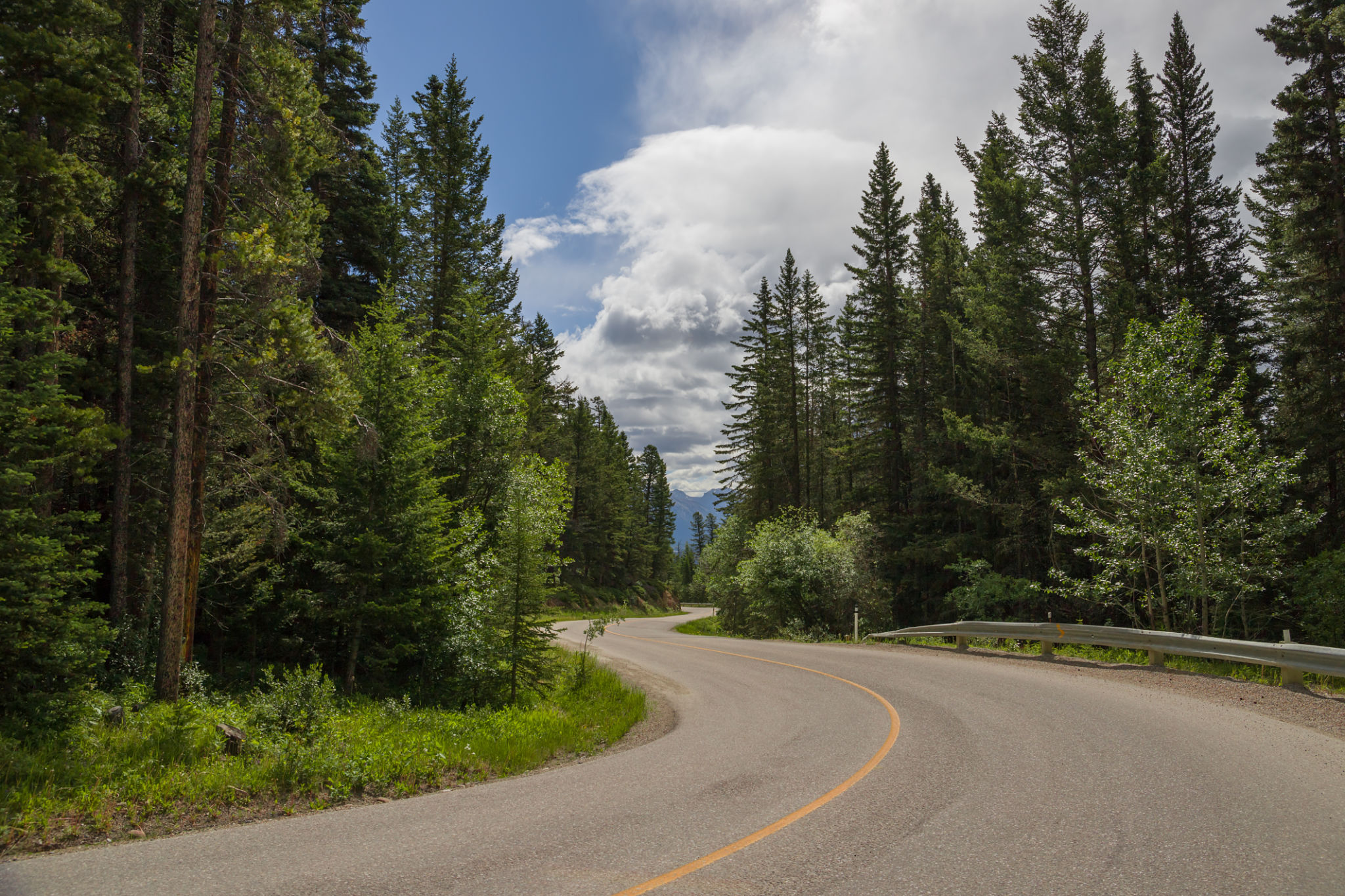 Scenic empty winding road along the forest in Banff National Park Scenic empty winding road along the forest in Banff National Park