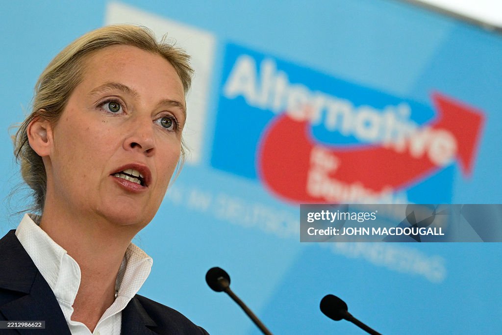 GERMANY-POLITICS-PARTIES-AFD