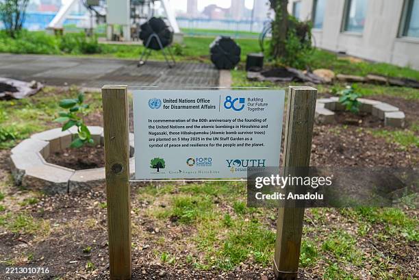Bomb Tree 19 Hibakujumoku Stock Photos, High-Res Pictures, and Images - Getty Images