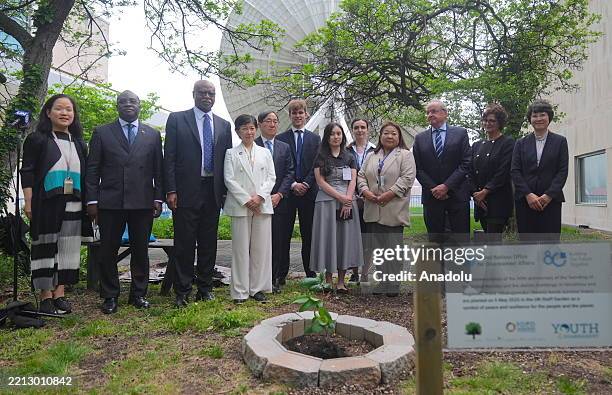 Bomb Tree 19 Hibakujumoku Stock Photos, High-Res Pictures, and Images - Getty Images