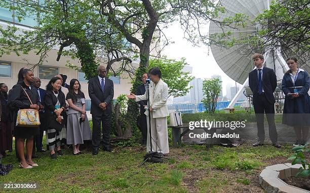 Bomb Tree 19 Hibakujumoku Stock Photos, High-Res Pictures, and Images - Getty Images