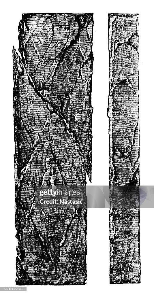 Column Set Formation Of Column Set High-Res Vector Graphic - Getty Images