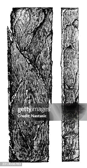 Column Fortation Formation Of Column Set High-Res Vector Graphic - Getty Images