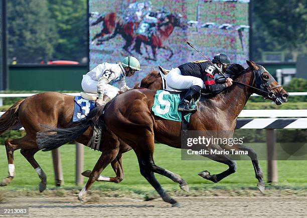 Thoroughbreds race at Saratoga Race Course during opening weekend of the thoroughbred racing season July 26, 2003 in Saratoga Springs, New York. The...
