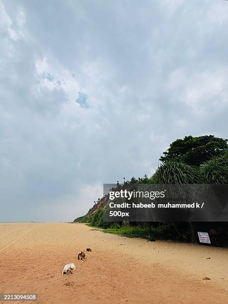 trees on field against sky,varkala,kerala,india - varkala beach stock pictures, royalty-free photos & images